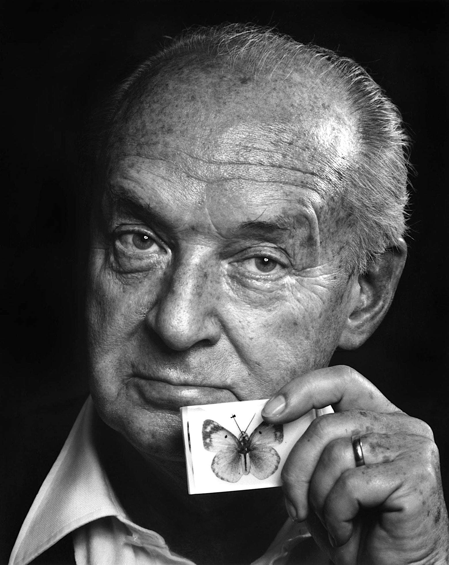 Chi era Vladimir Nabokov