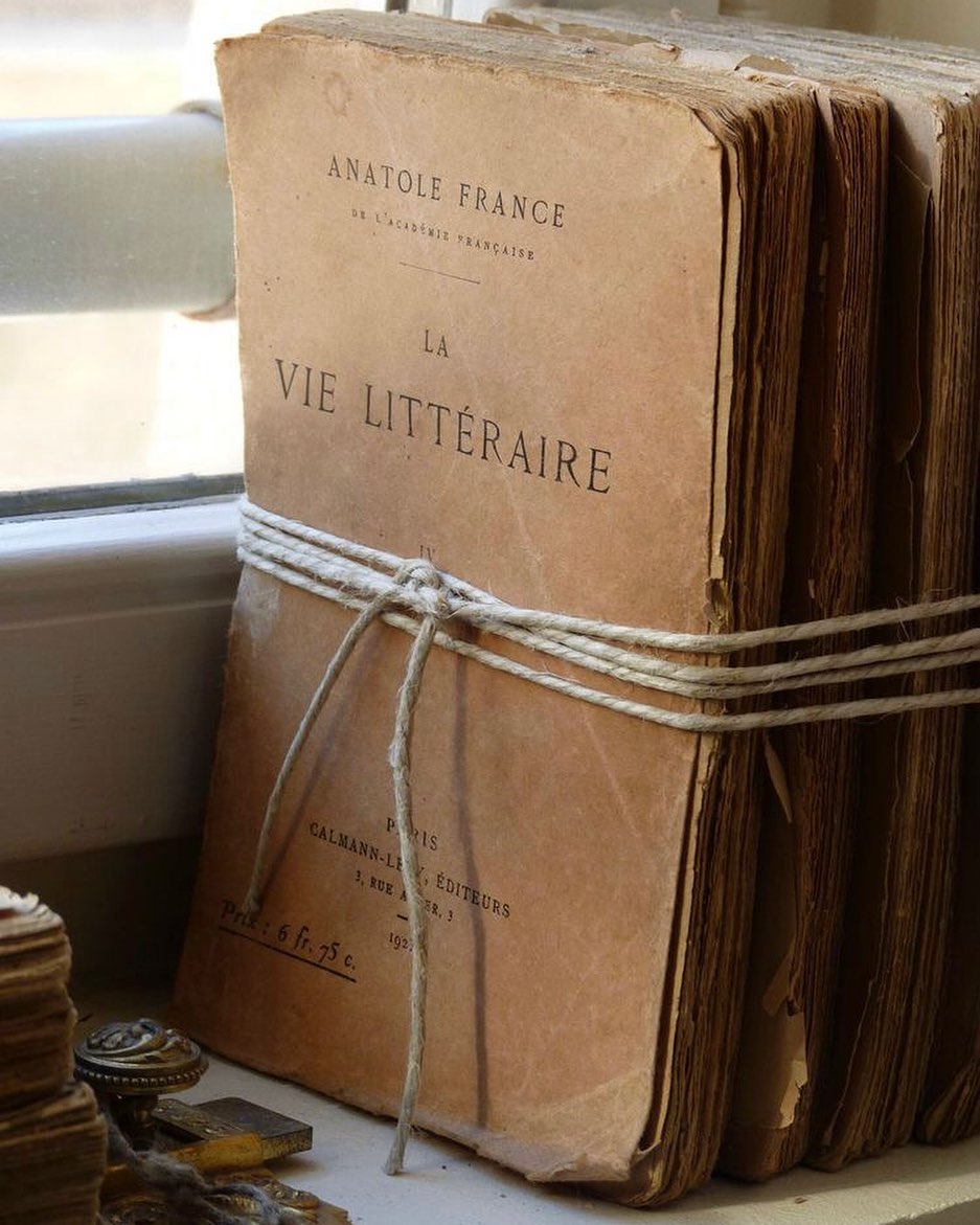 chi era anatole france