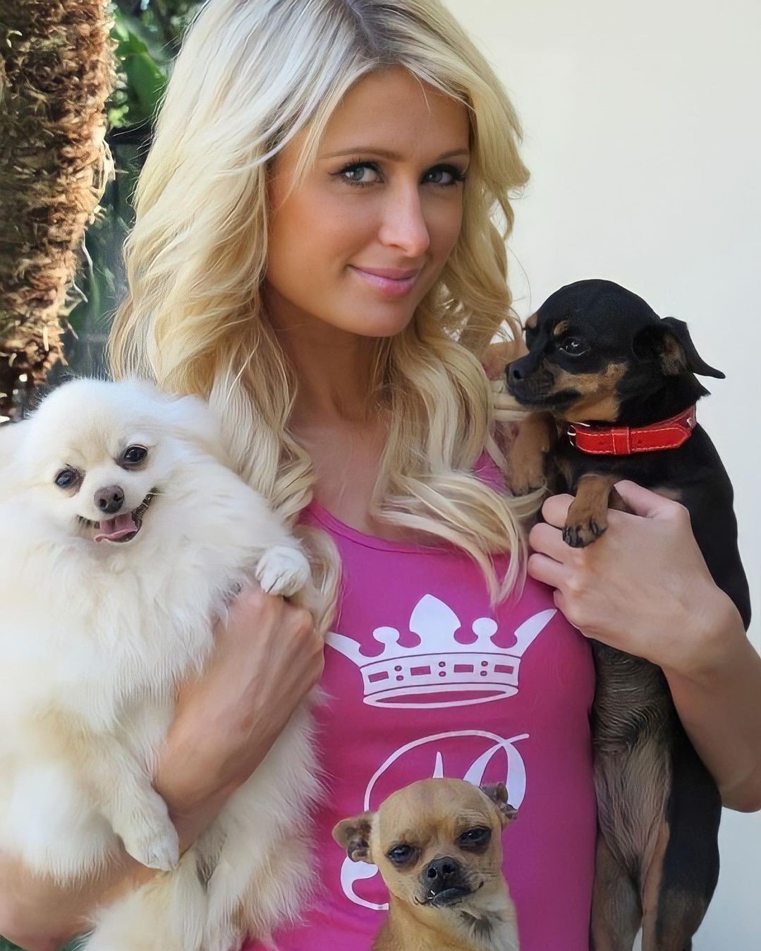 come travestirsi per halloween segno zodiacale