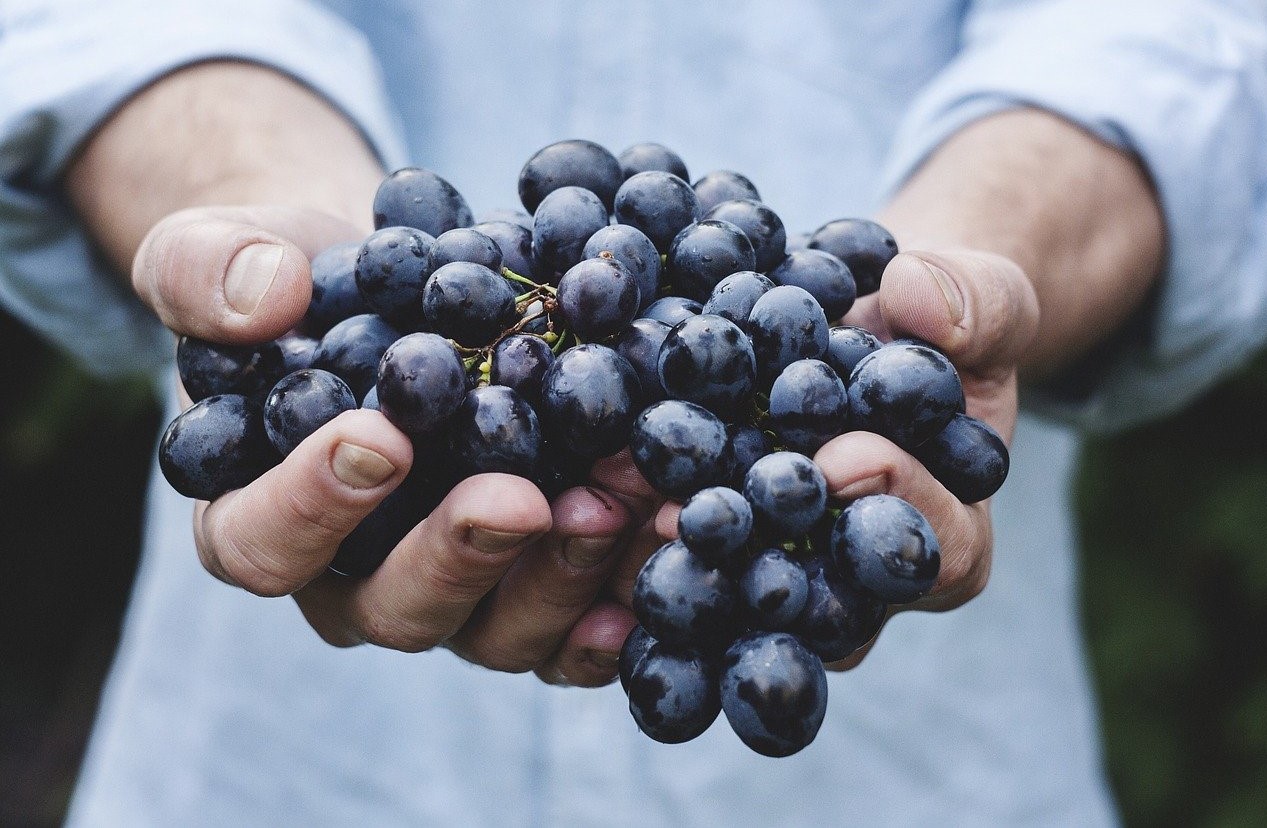 trattamenti spa con frutti della stagione
