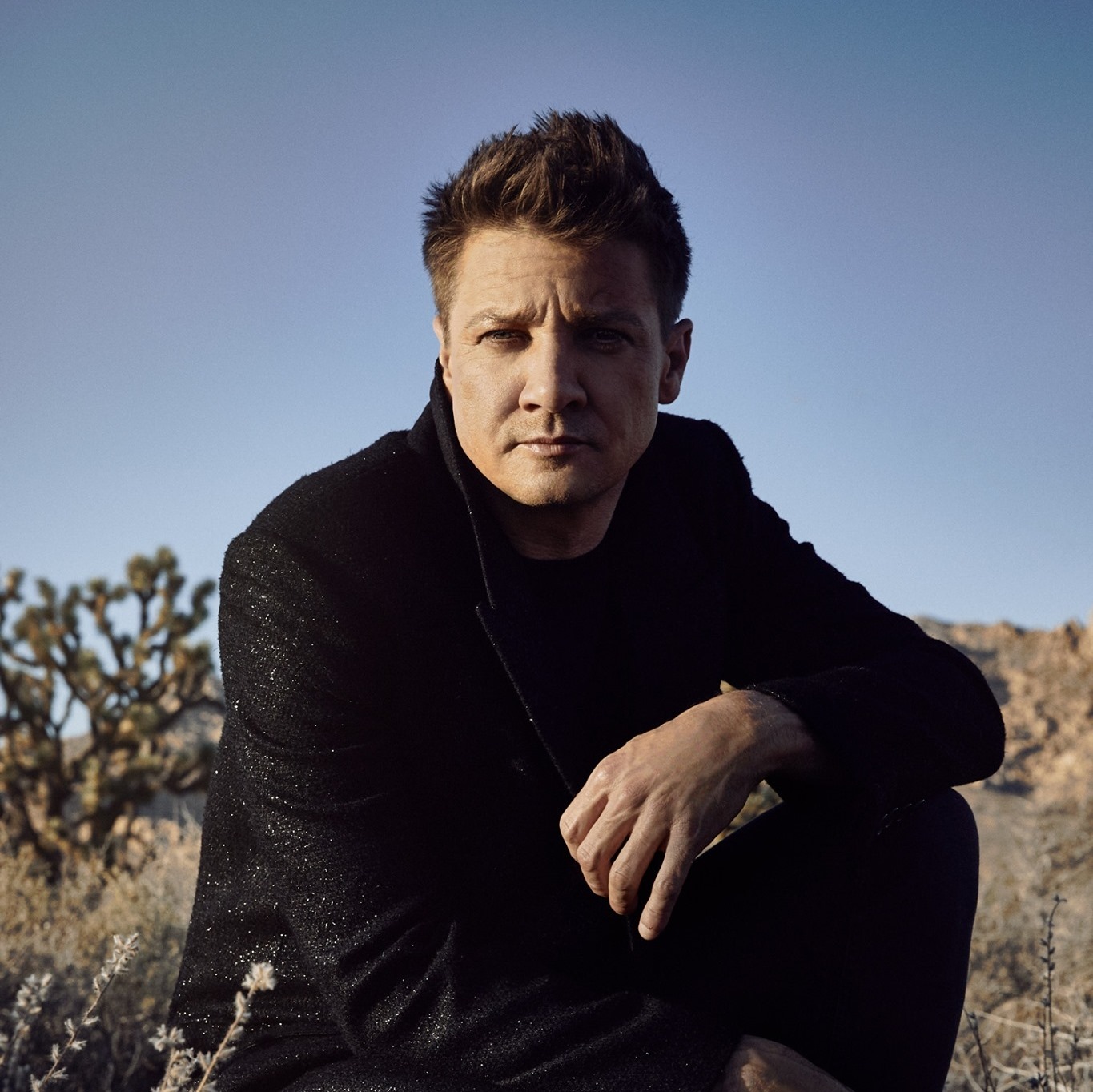 Chi è Jeremy Renner