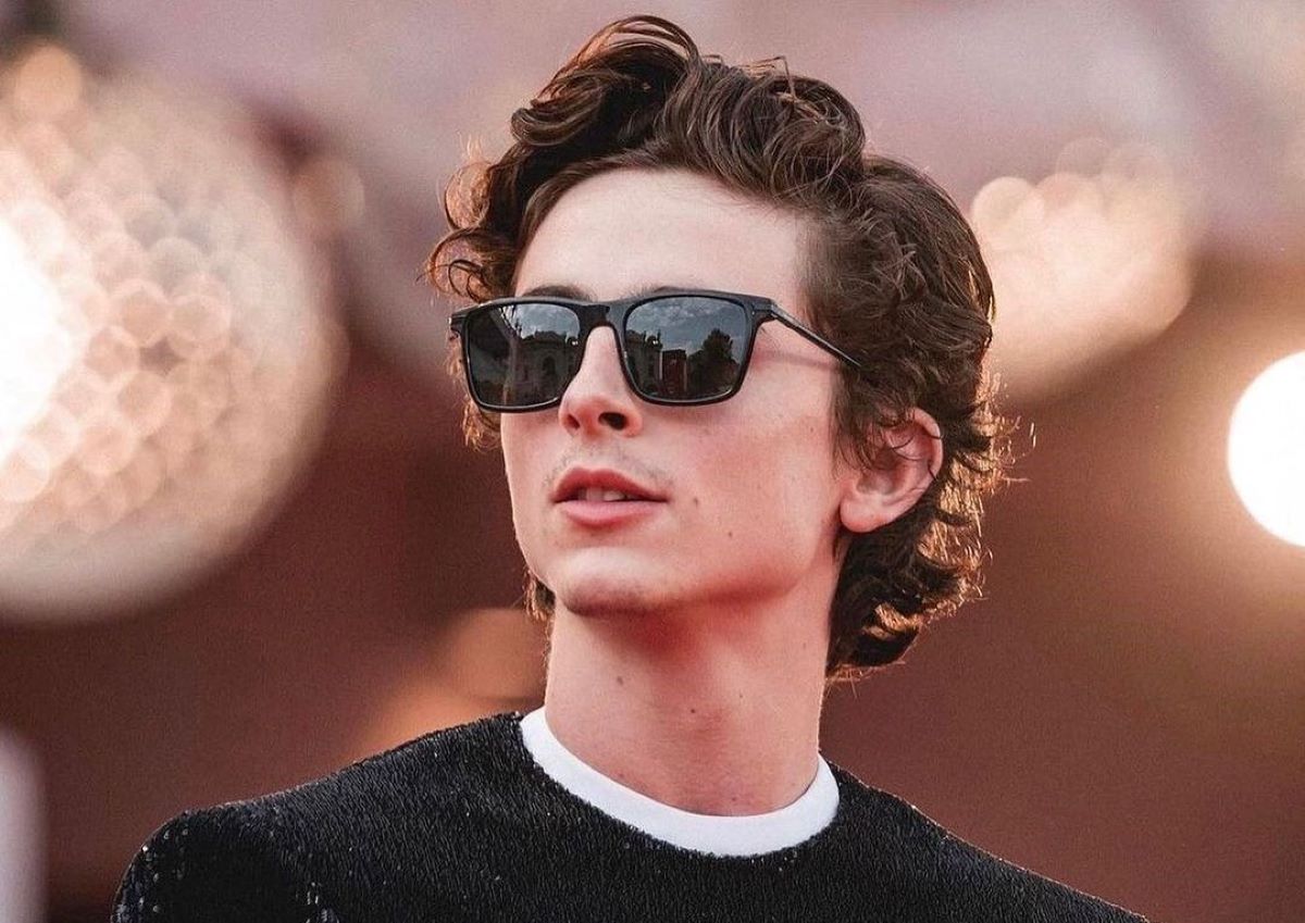 timothée chalamet anima gemella app