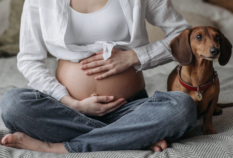 gravidanza e cani
