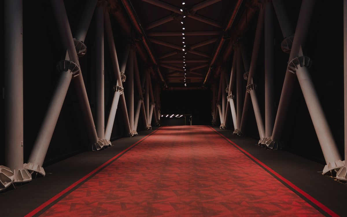 Gli outfit delle star sul tappeto rosso