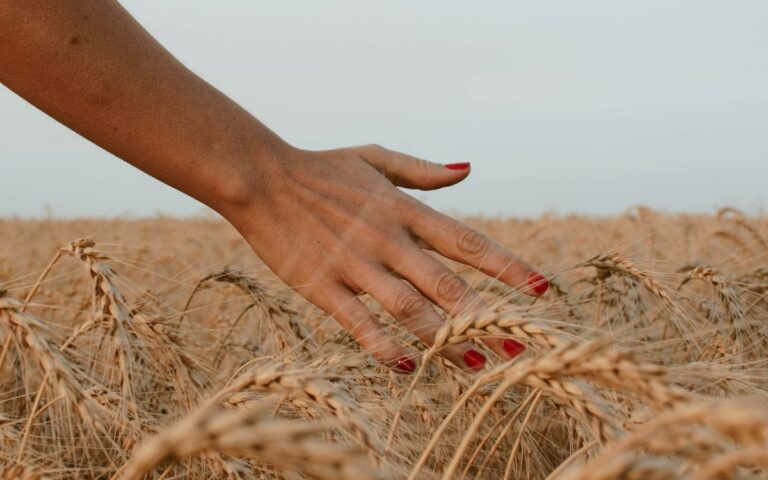 La manicure da scegliere per questa stagione