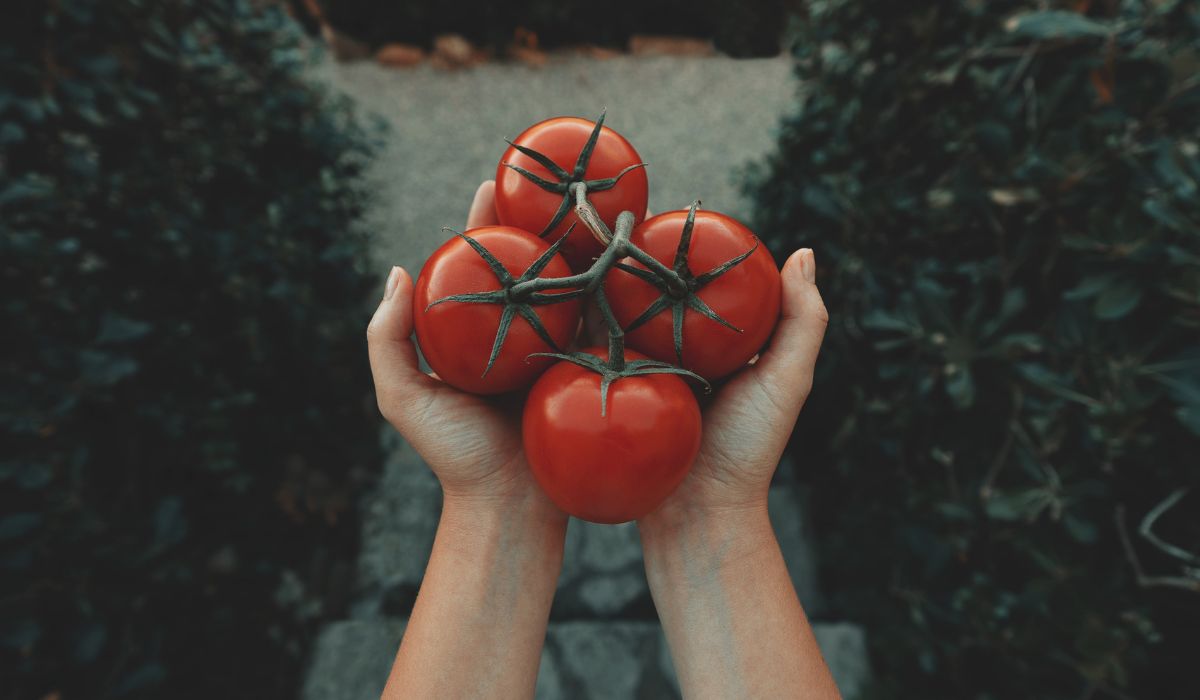 10 alimenti che potrebbero essere pericolosi