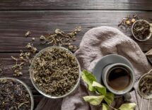 disintossicare organismo