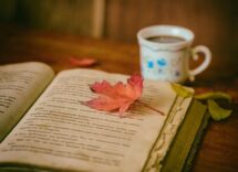 image c3517d27 6c38 4e0b ae5f 1612b5b9ed93