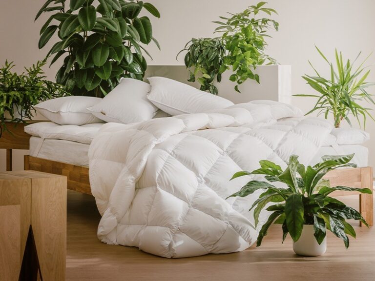 thumbnail donnemagazine