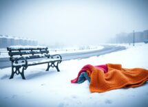 rivestimenti invernali tutto cio che devi sapere sui loro comportamenti durante linverno 1764902687