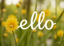 guida alla quarta stagione di the traitors episodi e dettagli 1768032170