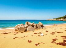 le meravigliose location di chi trova un amico trova un tesoro 1768086182